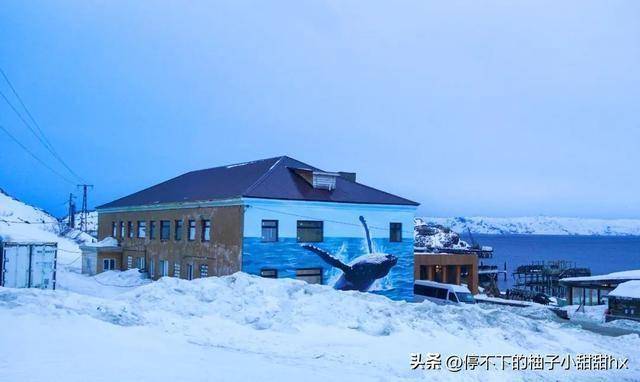 在世界尽头排长队坐最孤独秋千尊龙AG网站中国人北极圈春运(图1)