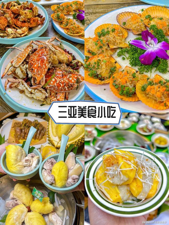 亚旅游攻略必去景点推荐必选导游阿轩尊龙凯时网三亚旅游预算多少合适三(图4)